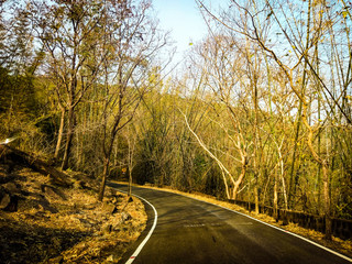 Fototapeta premium Way to Forest- Kerala-Athirappilly