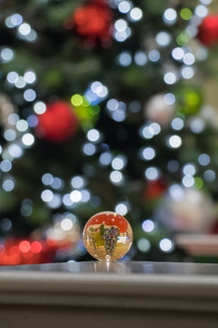 A crystal ball is reflecting a christmas tree