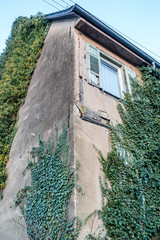 Efeu an Hauswand