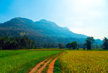Dramatic clouds sky, natural landscape mountain range at foggy summer morning, green nature background aerial view.