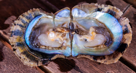 Open oyster with harvest pearls mother-of-pearl. Seashell