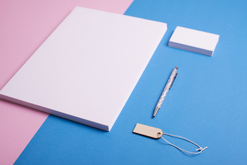 Sheets and business cards in white color next to a ballpoint pen and label on pink and blue background.