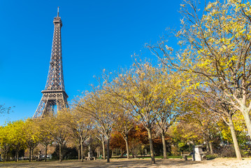 Paris, Eiffel tower behind autumn trees, panorama from the Champ de Mars
