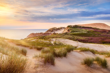 Dunes near Lonstrup