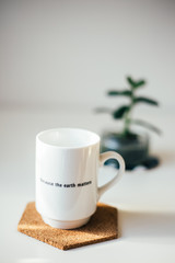 Mug  with title: Because the Earth matters 