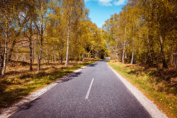 Fototapeta premium Road to Tversted Stock mill