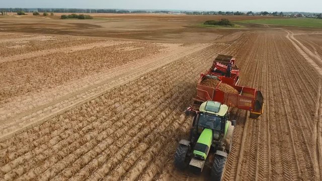 Farm machinery harvesting potatoes. Farmer field with a potato crop. 4K, aerial footage.