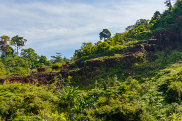 Fototapeta premium Summer mountain landscape