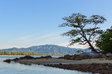 Sunset in the sea at cape with silhouette tree