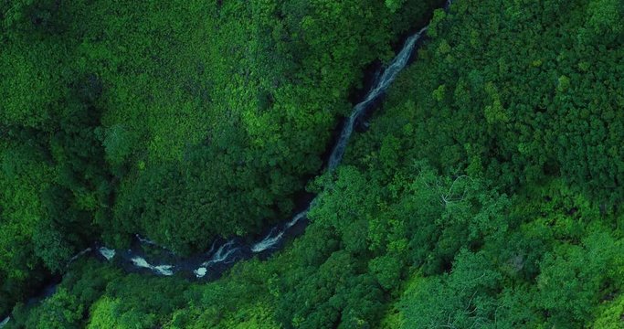 Top down aerial views of water cascading down a waterfall, surrounded by lush green tropical rain forest foliage. White water washing over the black stream bed. Palolo, Hawaii.