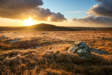 Brown willy tor on bodmin moor at sunrise with beautiful cloudy golden sky, cornwall, uk - obrazy, fototapety, plakaty