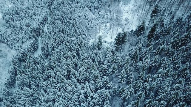 aerial flight over winter landscape in ebensee