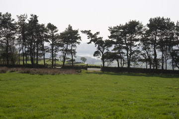 Images taken at the Roaches in Staffordshire UK