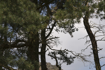 Images taken at the Roaches in Staffordshire UK