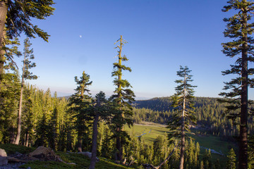 Paisaje bosque