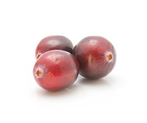 Three cranberries close-up isolated on white background.