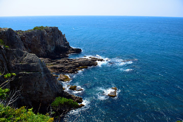 太平洋の水平線