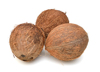 Coconut isolated on white Background