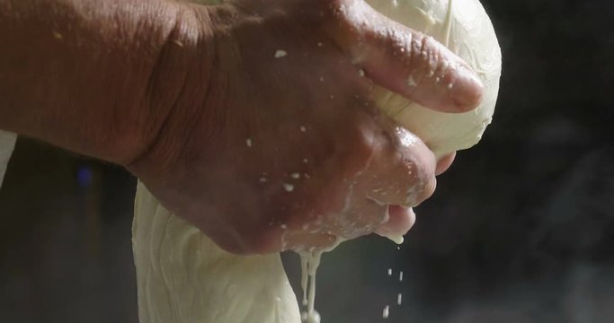 A homemade cheese producer, produces handmade mozzarella with fresh quality milk from her cows sheep in the morning. Concept of: tradition, italy, mozzarella.