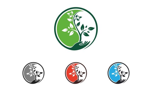 Yin Yang Tree Logo Vector