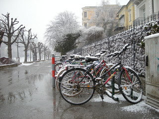Salzburg bicycles