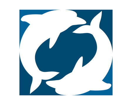 dolphin pisces silhouette fish nautical marine life image animal