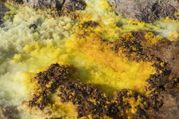 Dalol, Dankakil Depression.  Volcanic hot springs of Ethiopia. Earth’s lowest land volcano.  The craters contains hot springs that boast a whole range of otherworldly colours, including neon yellow.