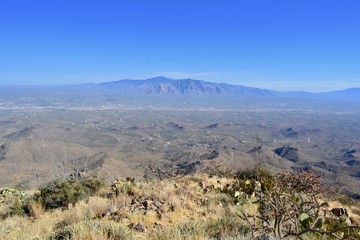 Fototapeta na wymiar Wasson Peak Trail Tucson Mountains Arizona