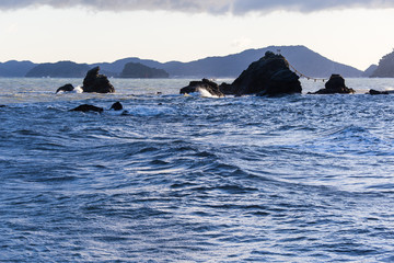 Fototapeta premium 日本 三重県 夫婦岩