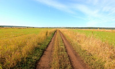 landscape with road in a field with herbs and blue sky
