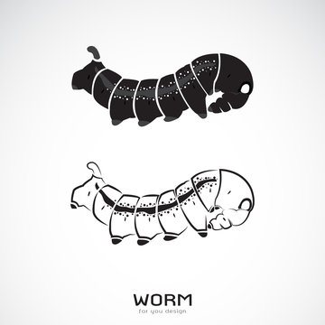 Vector of two caterpillar on white background. Icon Worm. Insect.