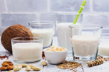 Assortment of non dairy vegan milk and ingredients