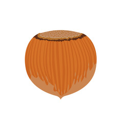 Vector Full Unpeeled Hazelnut Close up Isolated on White Background. Flat and solid color style.