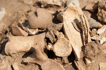 Archaeological excavations. In archaeology, excavation is the exposure, processing and recording of archaeological remains. An excavation site or 