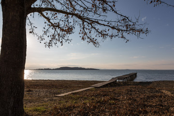 A pier on Trasimeno lake (Umbria)  with a tree in the foreground, in a beautiful, warm autumn day, with fallen leaves on the ground