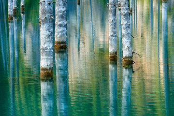 Reflection of trees on a green  background of lake. Lake Kaindy, meaning the 