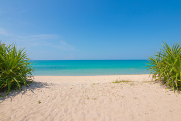 beach day realixing during summer at Phuket Thailand