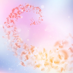 Obraz premium Sakura flying downwind petals on wind. EPS 10 vector
