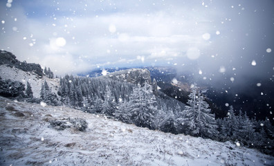 Trees covered with hoarfrost and snow in winter mountains - Christmas snowy backgroundic holiday background