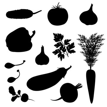 Vegetables silhouettes (cucumber, tomato, onion, paprika, parsley, carrot, capers, garlic, aubergine, radish, beet). Set of hand drawn vector illustrations.