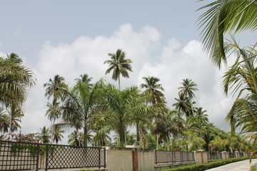 Beautiful and unique landscape of Dominican Republic