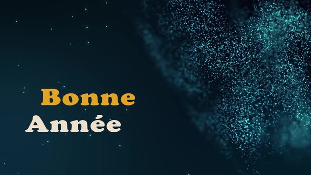 Bonne Ann&eacute;e
