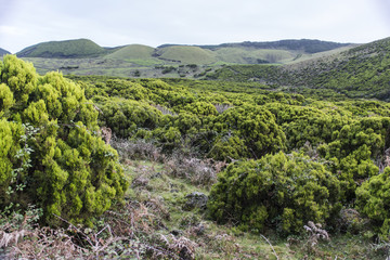 Landschaft der "Cerra do Cume" auf der Azoreninsel Terceira.
