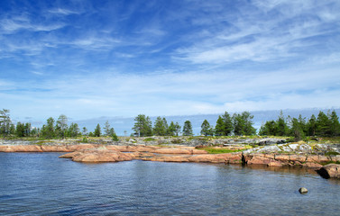 Vegetation and stones on the bank of the White sea