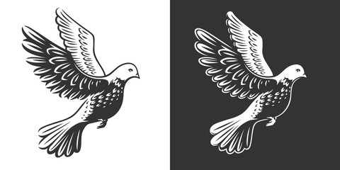 Isolated dove (pigeon) in flight - logo, emblem, illustration design on a black and white background.
