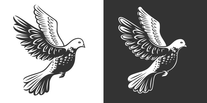 Isolated dove (pigeon) in flight - logo, emblem, illustration design on a black and white background.