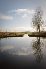 Fototapeta na wymiar Dutch polder near Delft with beautiful reflection of the poplar trees in the water Netherland