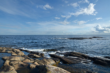 Vegetation and stones on the bank of the White sea