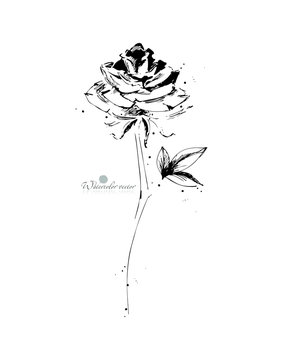 Black and white, watercolor, graphic flower