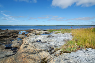 Vegetation and stones on the bank of the White sea